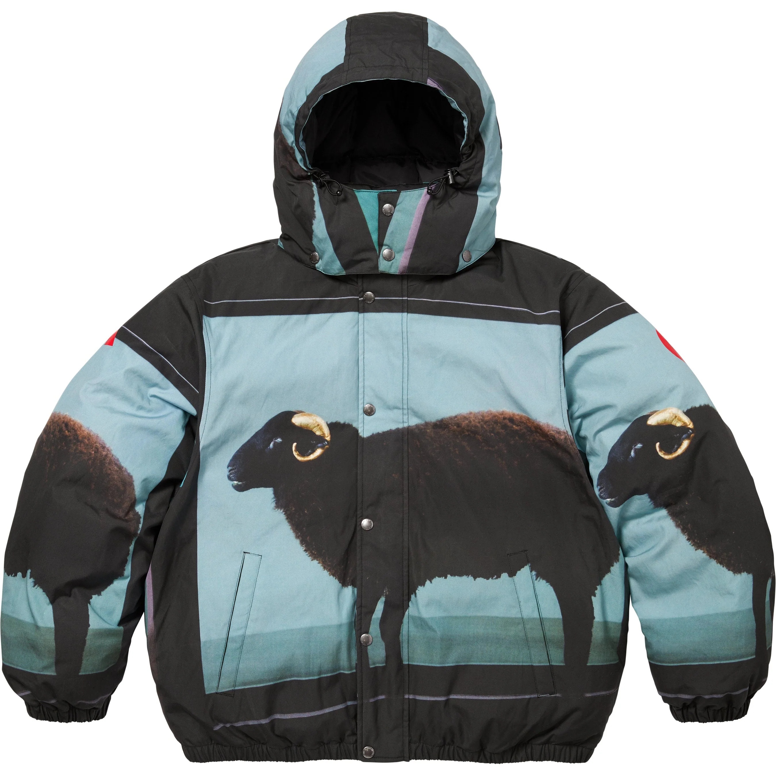 Supreme/Damien Hirst Down Puffer Jacket view 7
